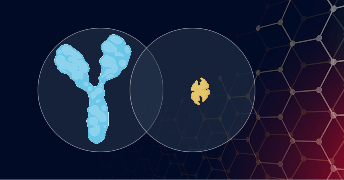 Aptamers & Antibodies: A Cooperation, Not a Competition