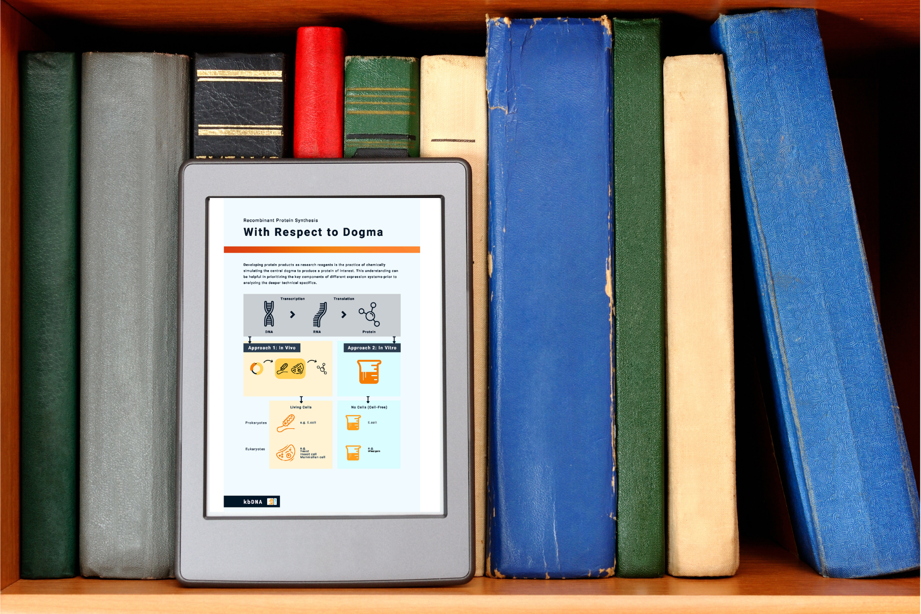 The Ultimate Guide to In-Vivo Proteins